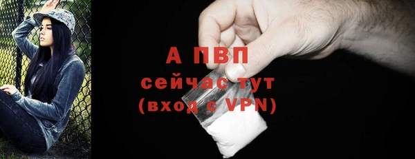 стафф Киреевск